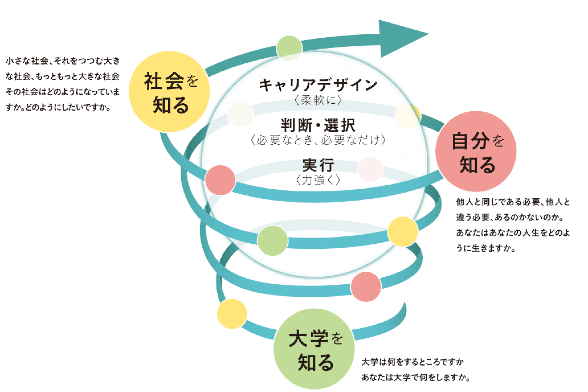 螺旋状の矢印が下から上へ上り、大学を知る、自分を知る、社会を知るというポイントを経由している図